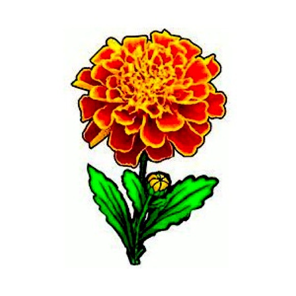 Meet your Posher, Mel - Picture 1 of 1